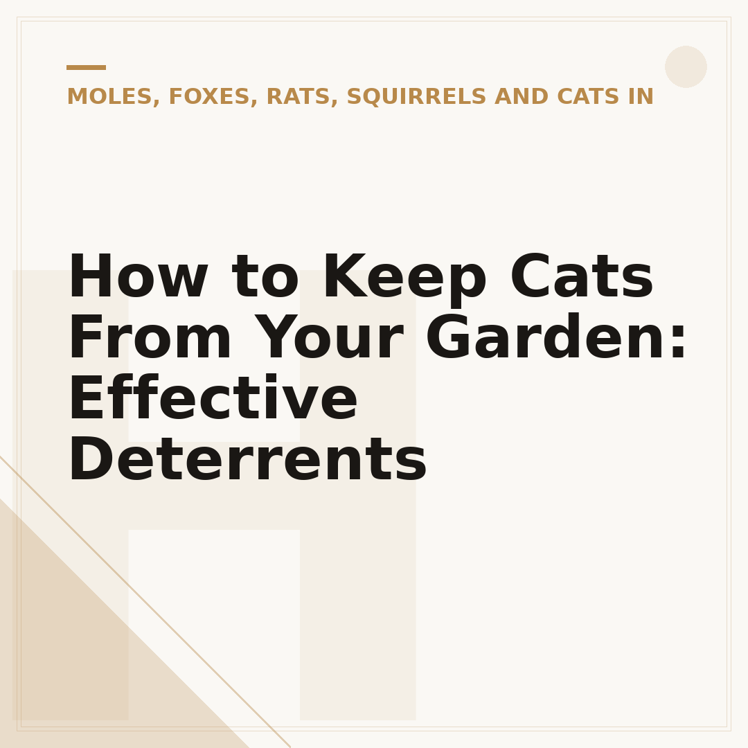 How to Keep Cats From Your Garden: Effective Deterrents