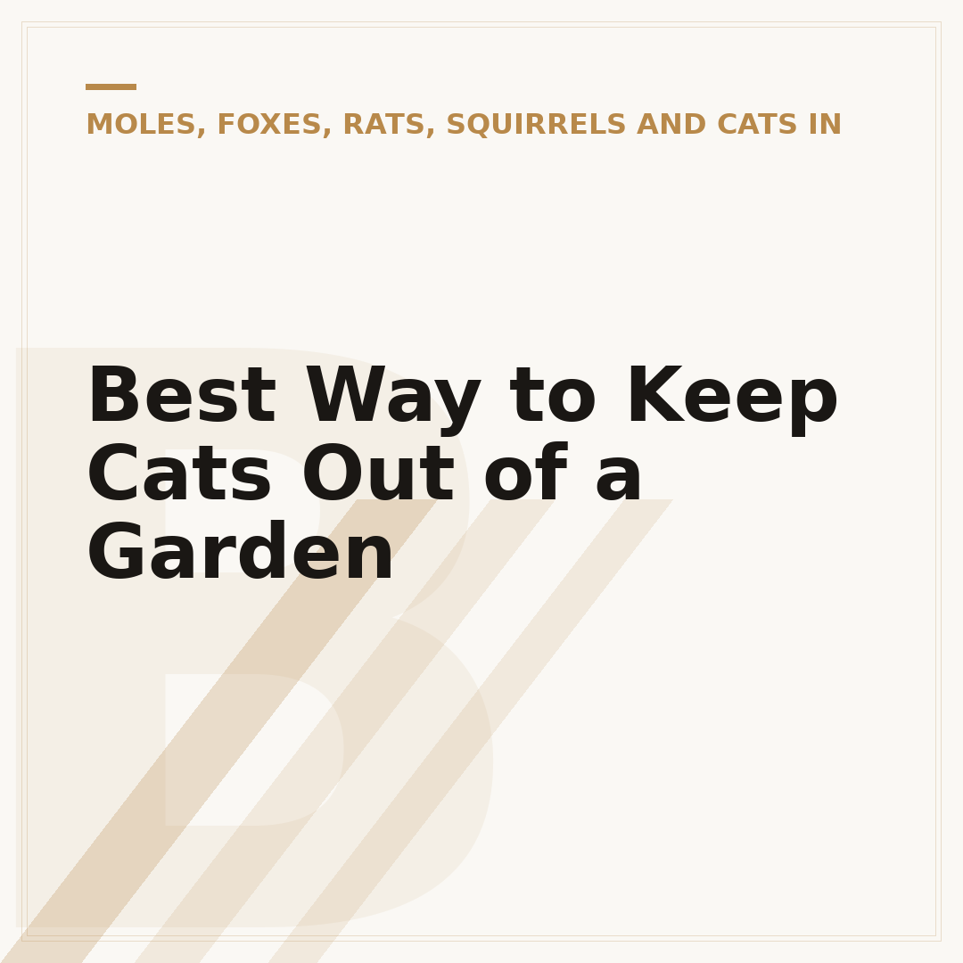 Best Way to Keep Cats Out of a Garden