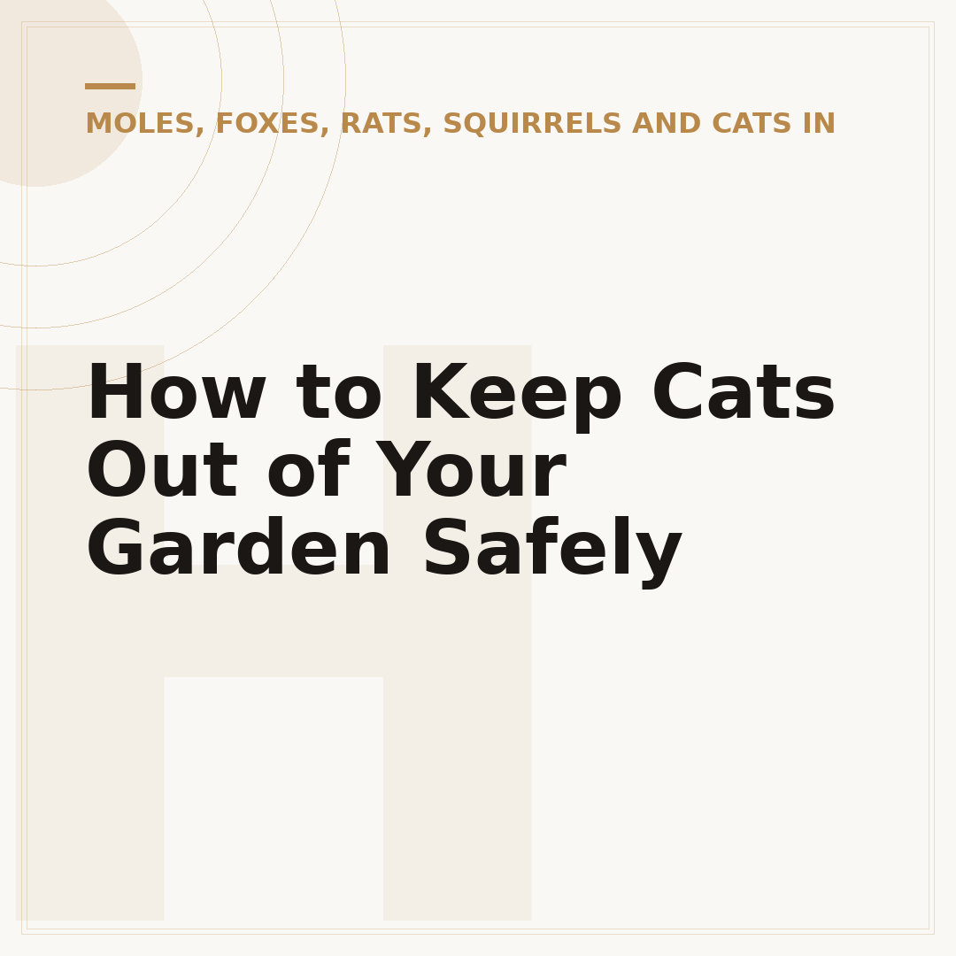 How to Keep Cats Out of Your Garden Safely