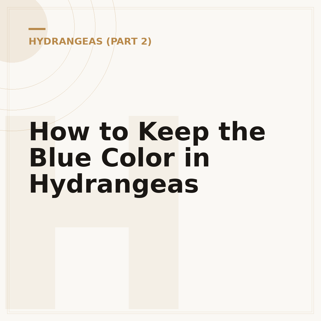 How to Keep the Blue Color in Hydrangeas
