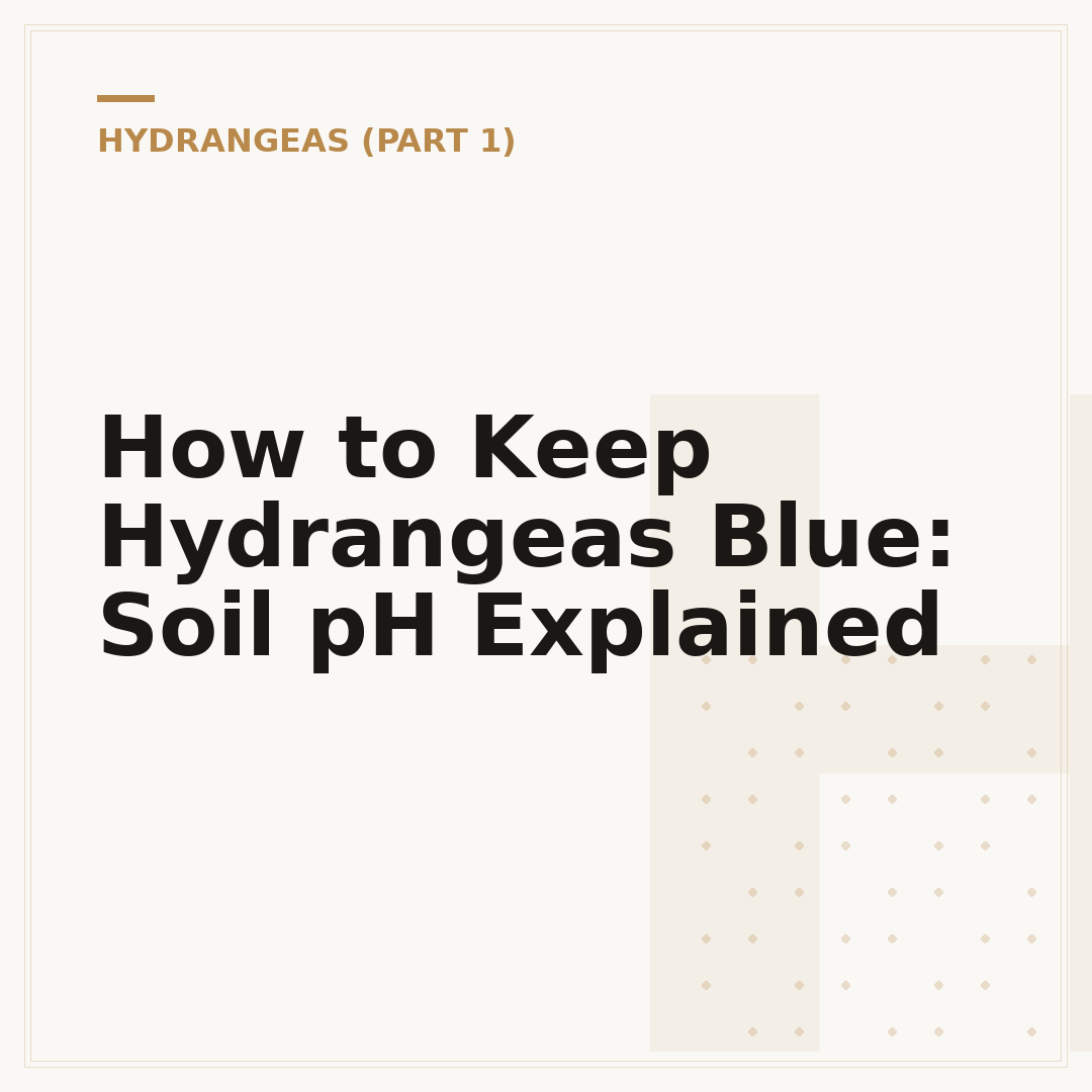 How to Keep Hydrangeas Blue: Soil pH Explained