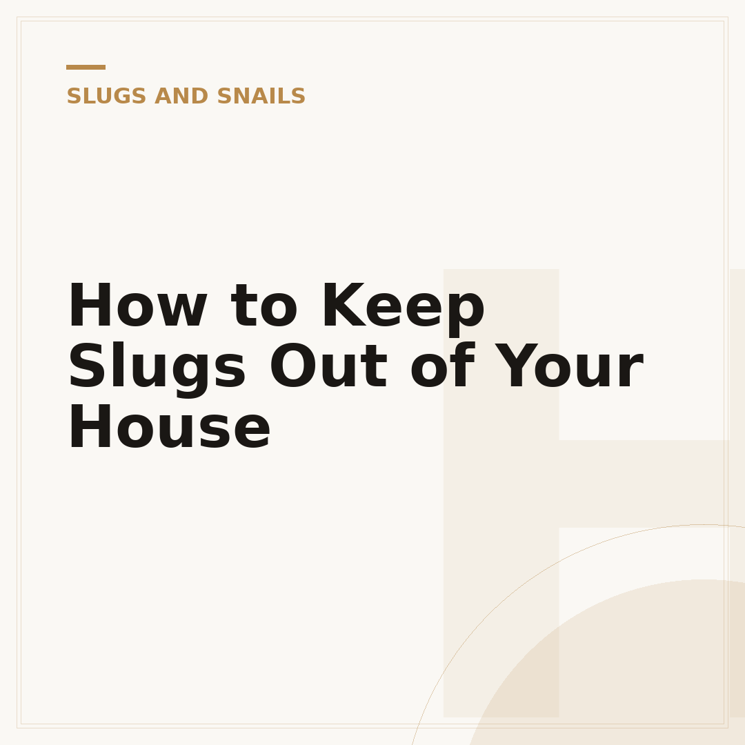 How to Keep Slugs Out of Your House
