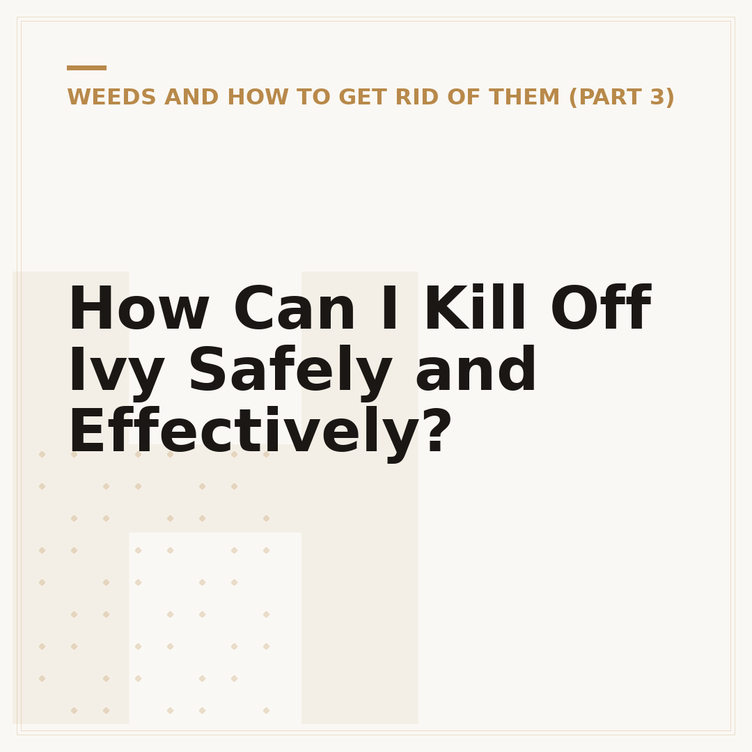 How Can I Kill Off Ivy Safely and Effectively?