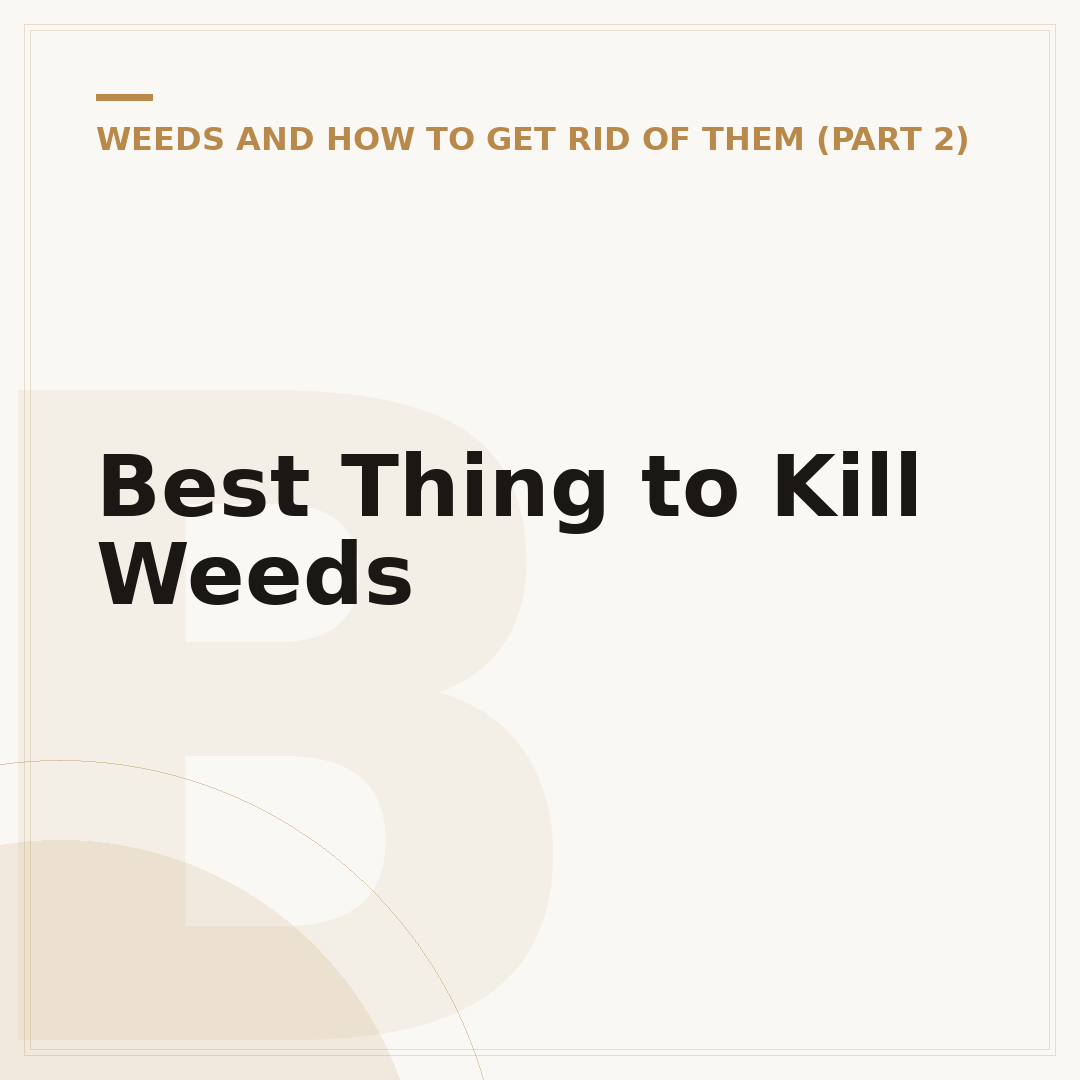 Best Thing to Kill Weeds