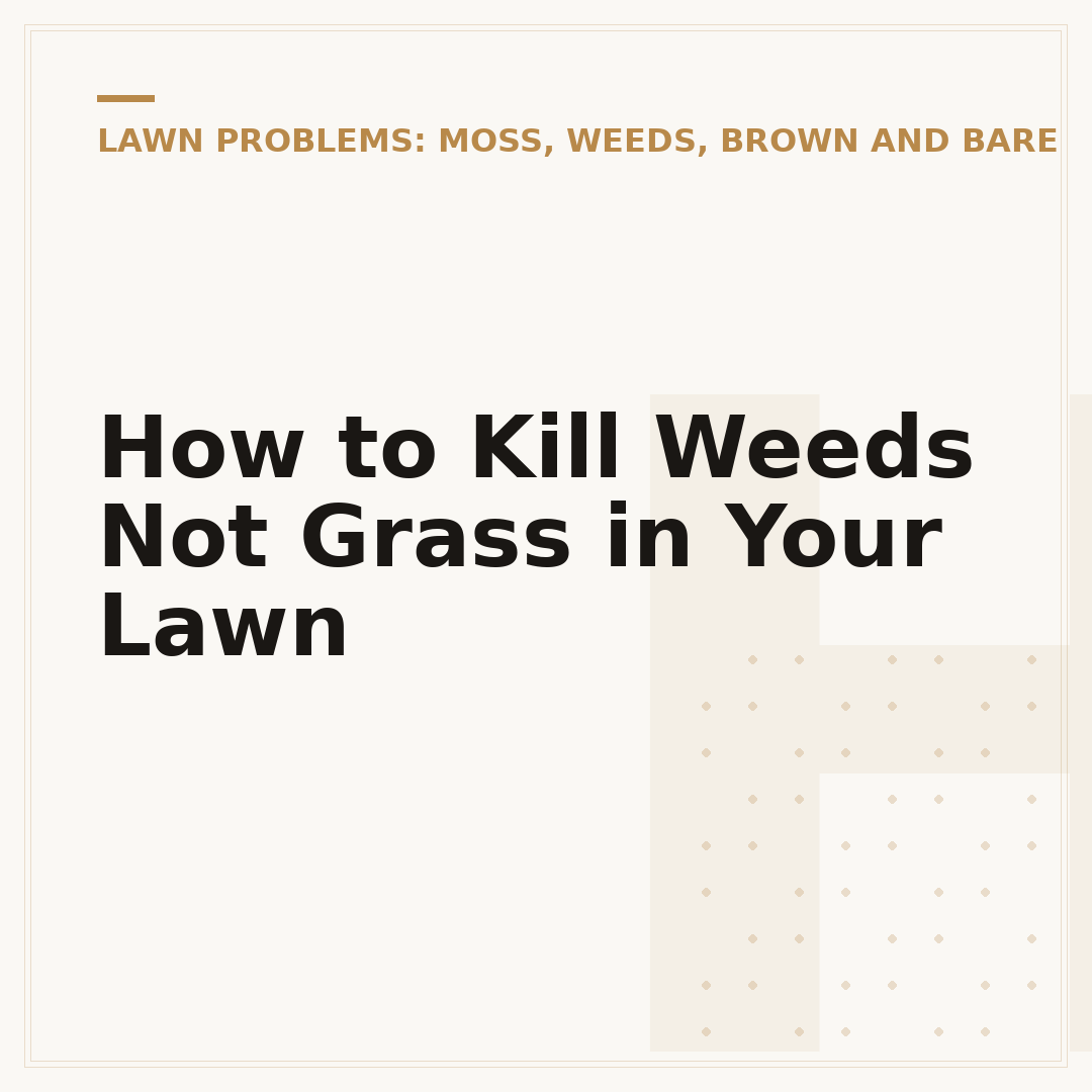 How to Kill Weeds Not Grass in Your Lawn