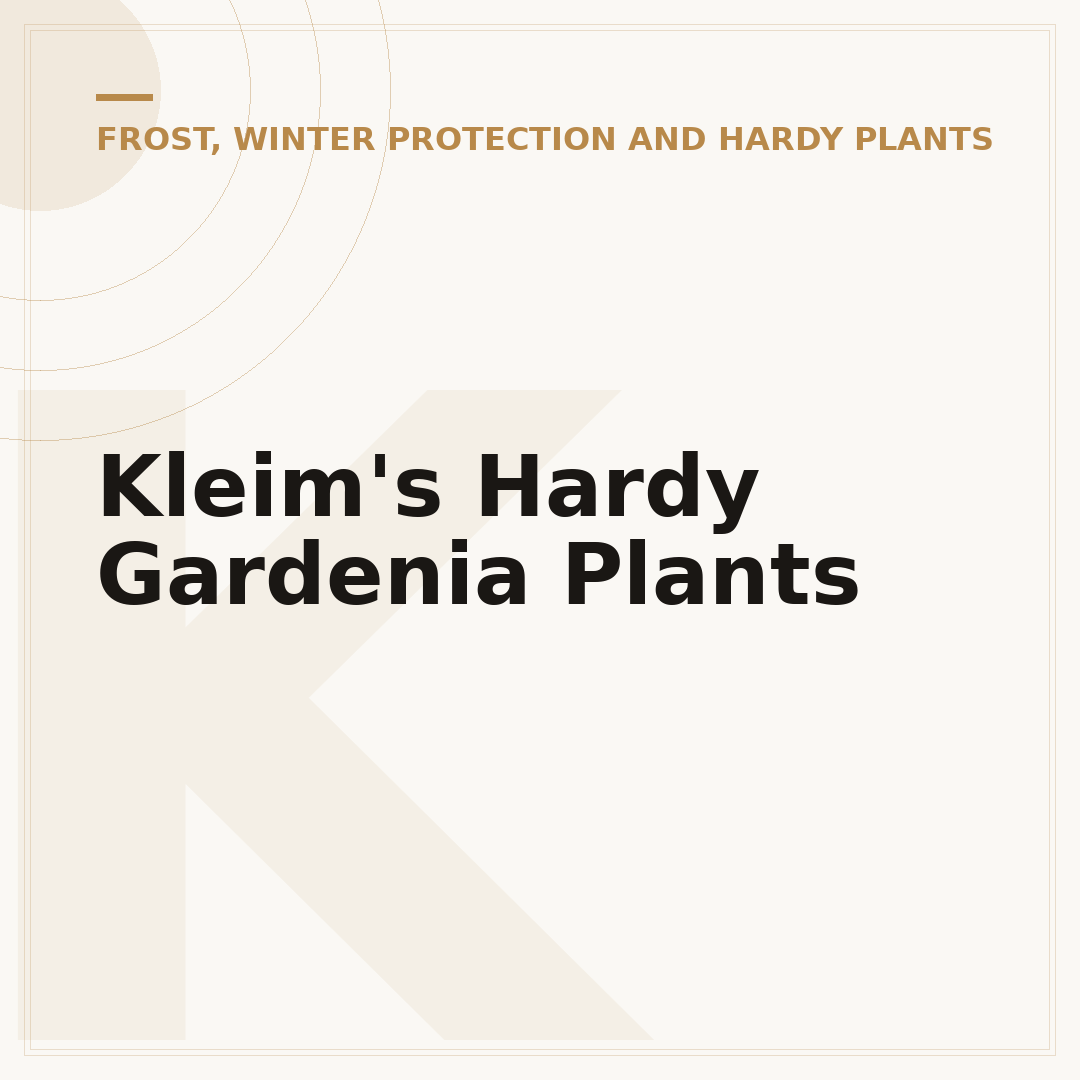 Kleim's Hardy Gardenia Plants