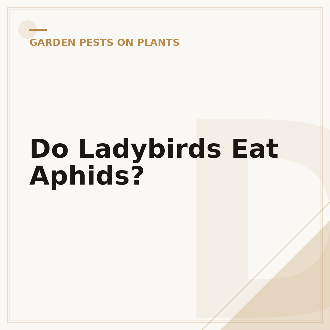 Do Ladybirds Eat Aphids?