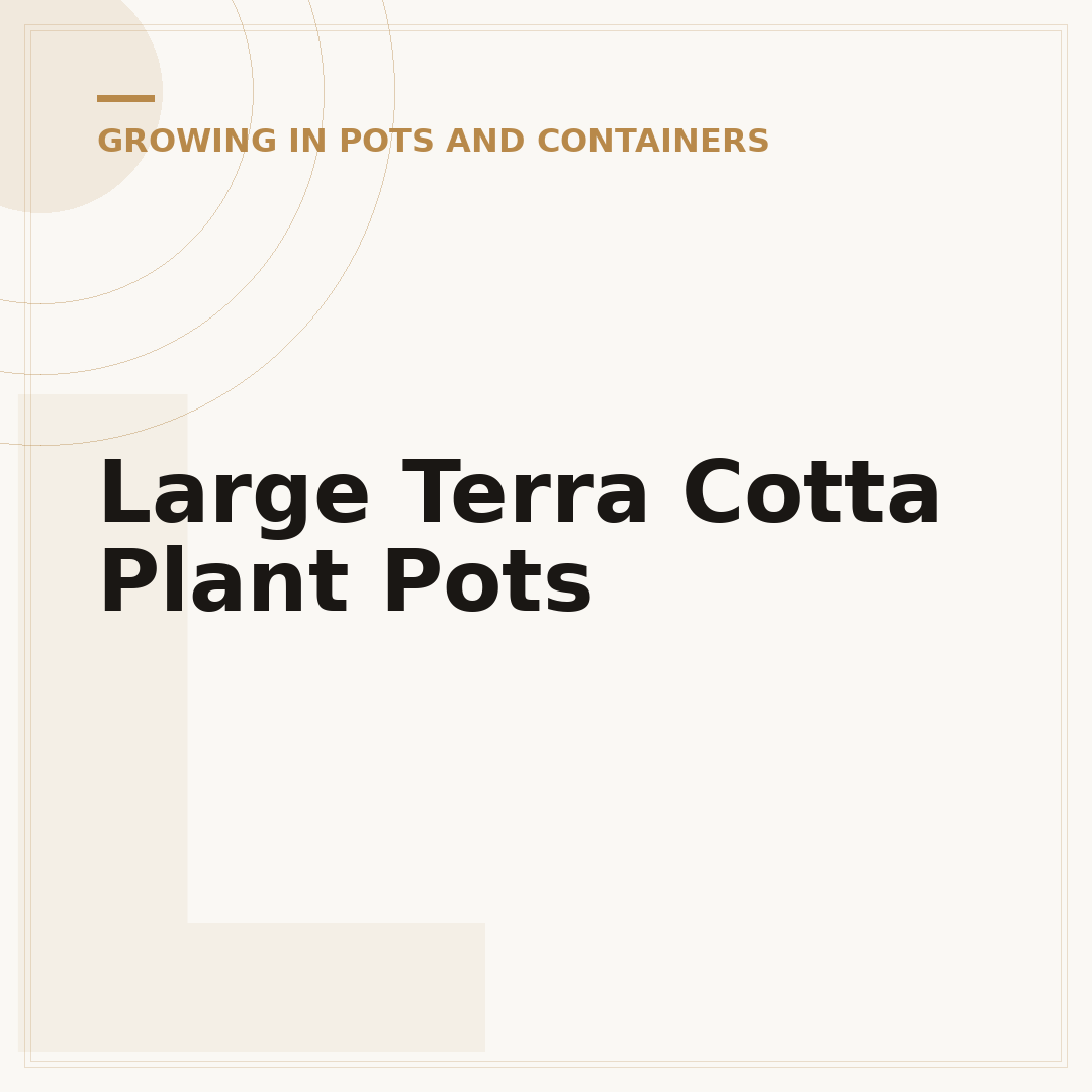 Large Terra Cotta Plant Pots