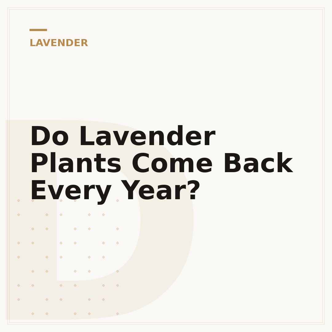 Do Lavender Plants Come Back Every Year?