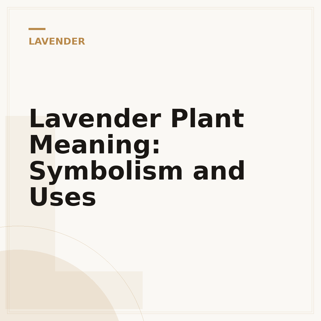 Lavender Plant Meaning: Symbolism and Uses