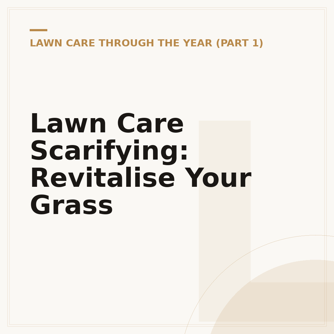 Lawn Care Scarifying: Revitalise Your Grass