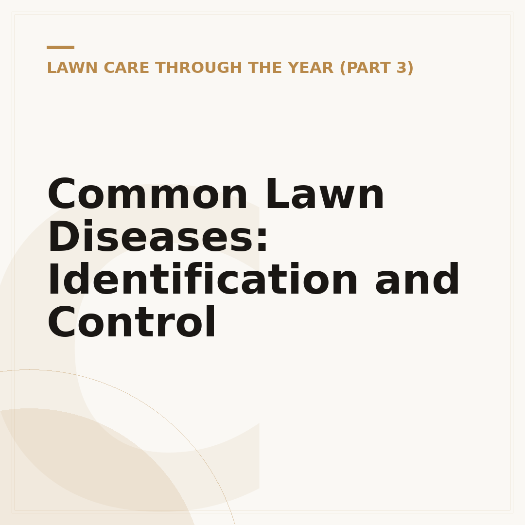 Common Lawn Diseases: Identification and Control