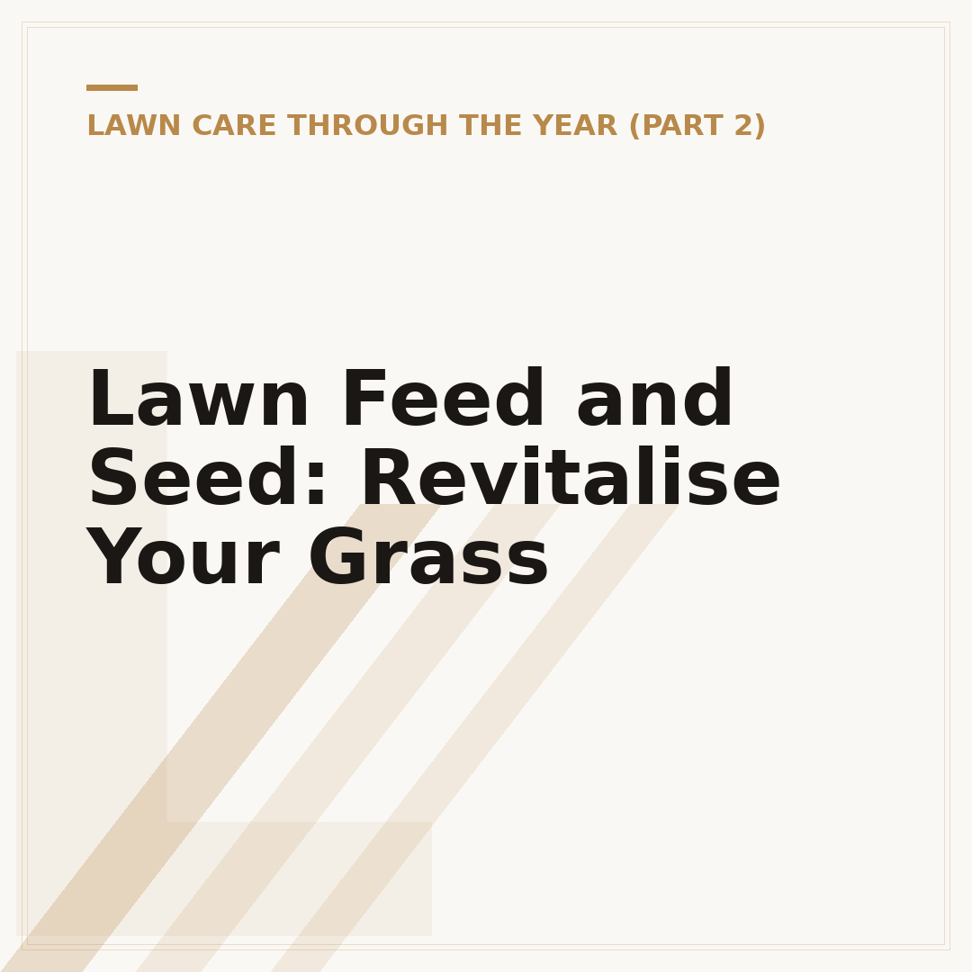 Lawn Feed and Seed: Revitalise Your Grass