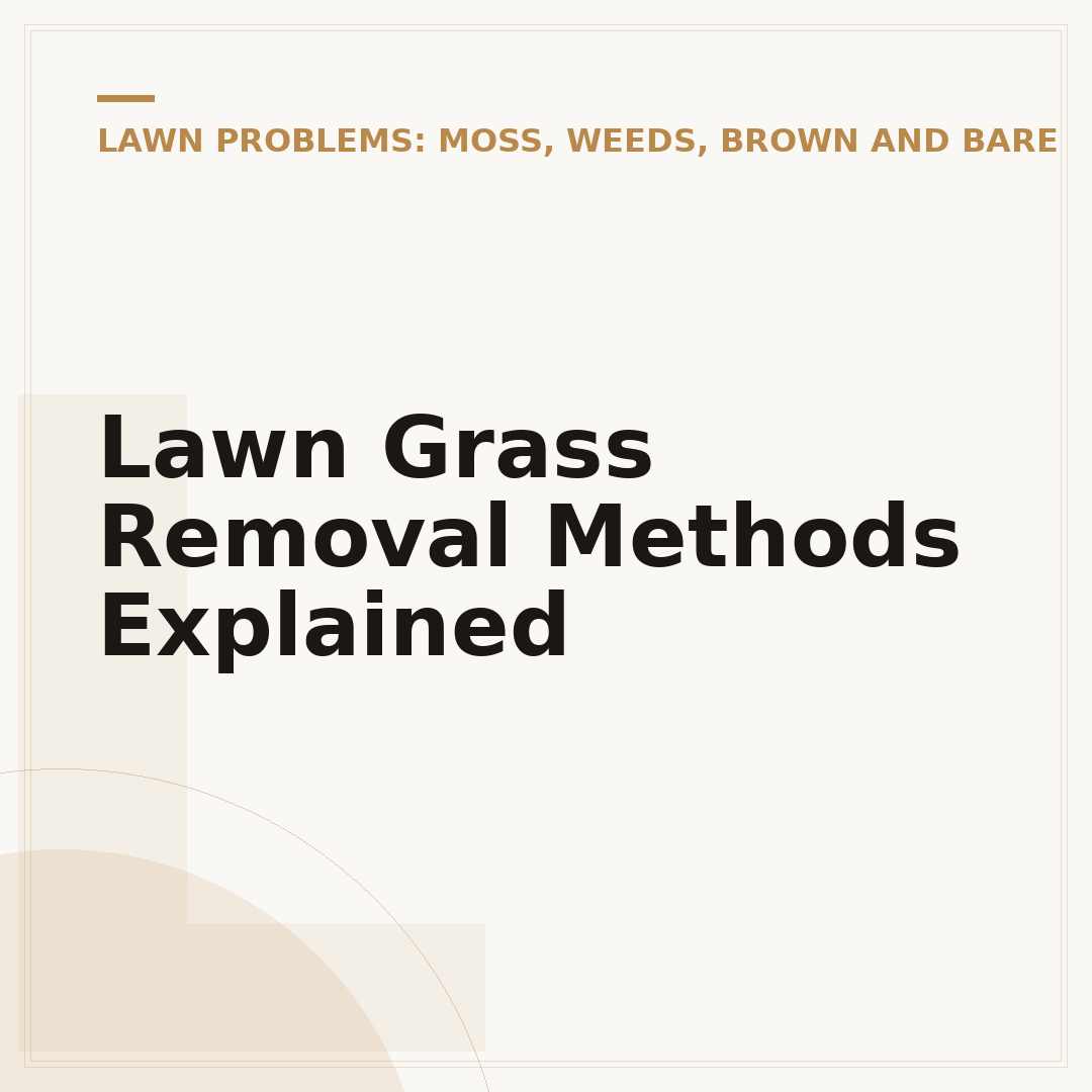 Lawn Grass Removal Methods Explained