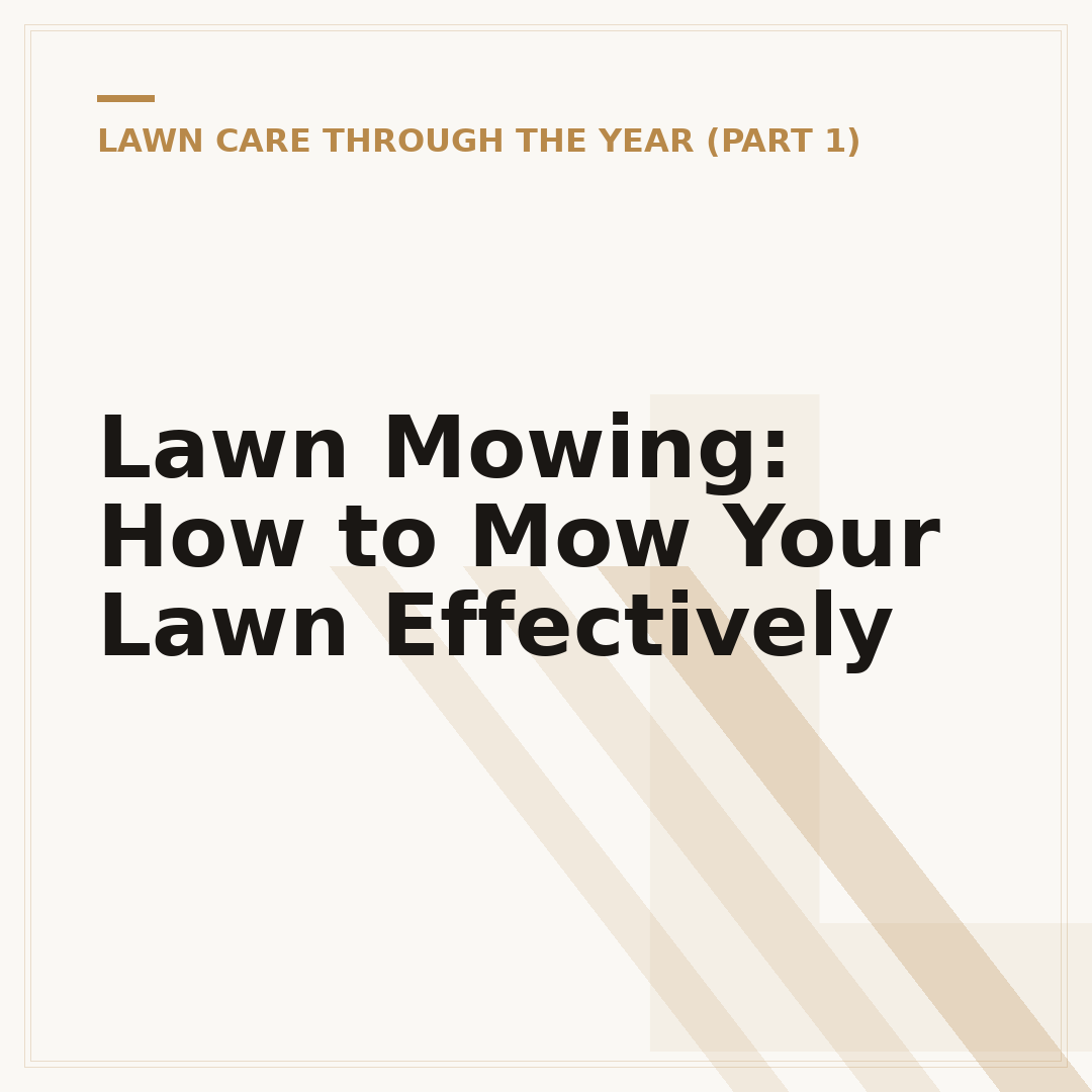 Lawn Mowing: How to Mow Your Lawn Effectively