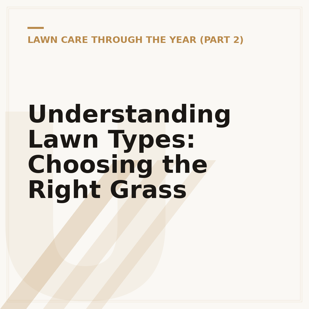 Understanding Lawn Types: Choosing the Right Grass
