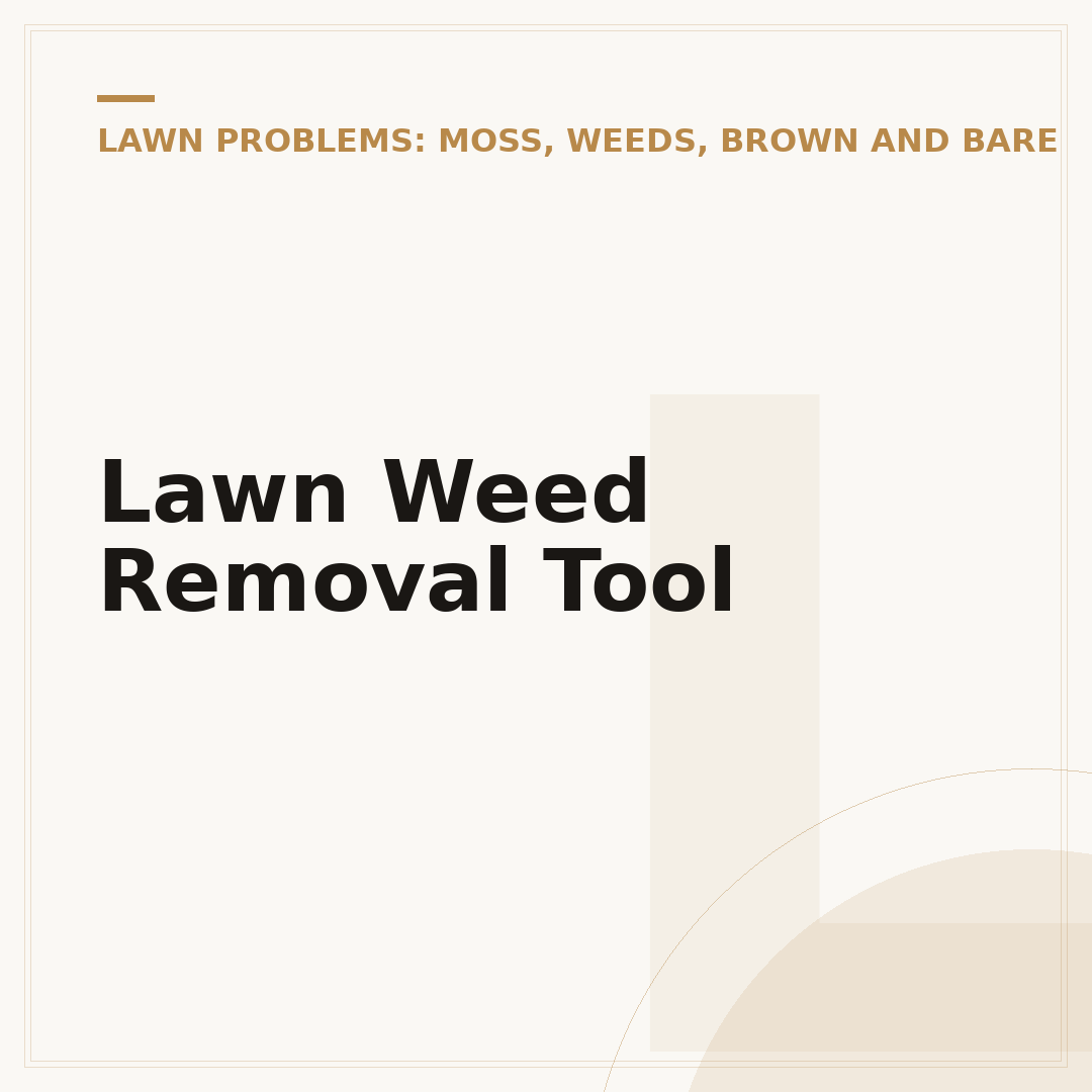 Lawn Weed Removal Tool