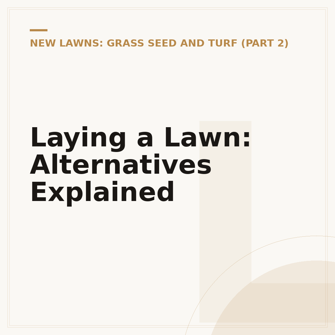 Laying a Lawn: Alternatives Explained