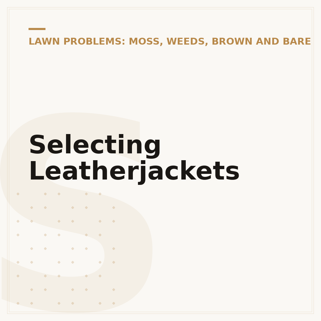 Selecting Leatherjackets
