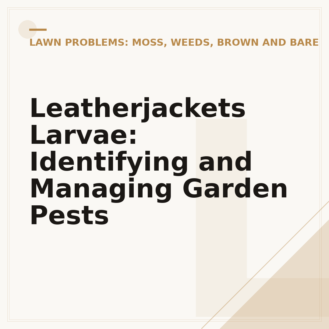 Leatherjackets Larvae: Identifying and Managing Garden Pests