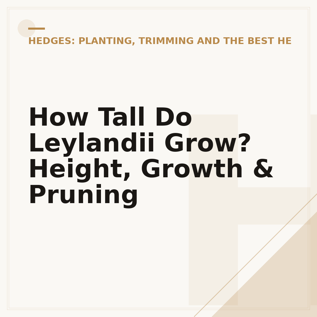 How Tall Do Leylandii Grow? Height, Growth & Pruning