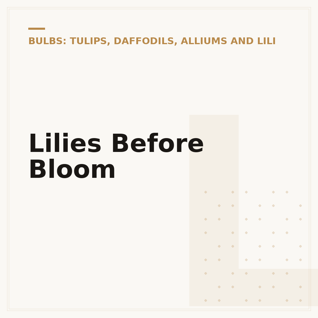 Lilies Before Bloom