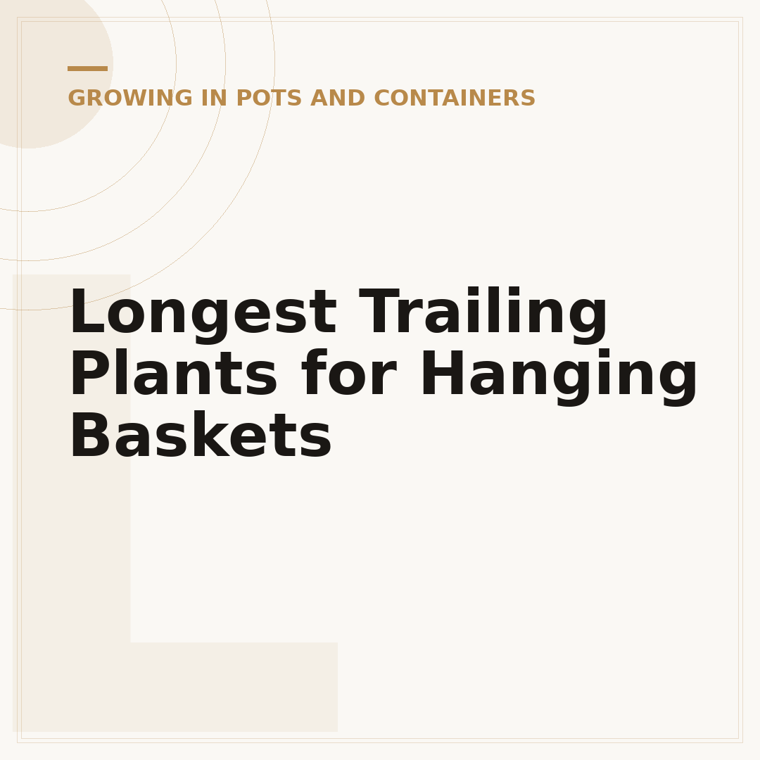 Longest Trailing Plants for Hanging Baskets
