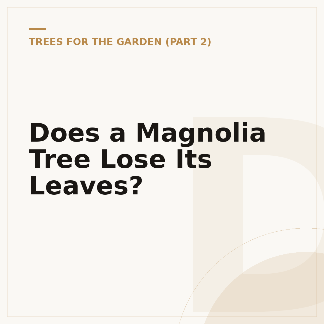 Does a Magnolia Tree Lose Its Leaves?