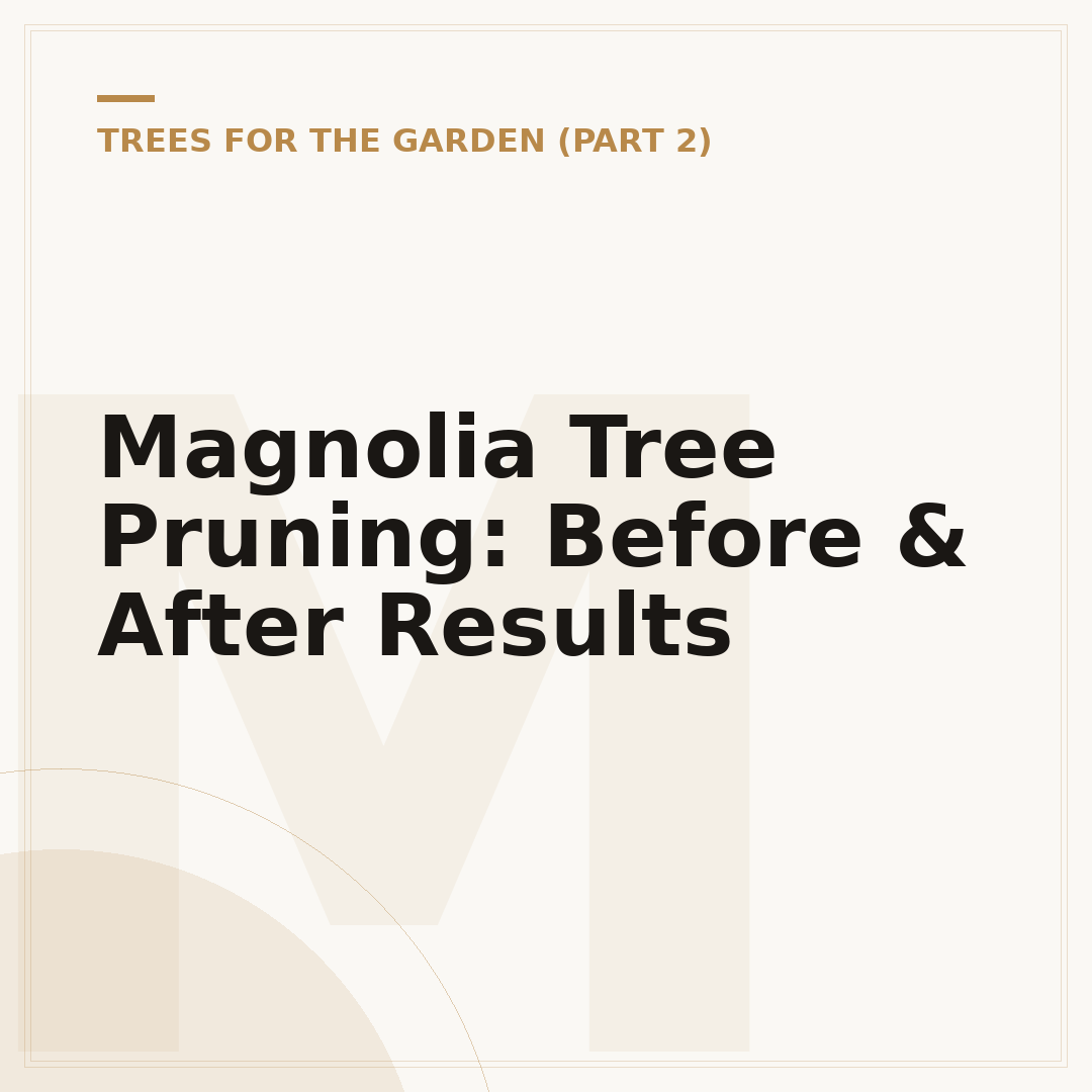 Magnolia Tree Pruning: Before & After Results