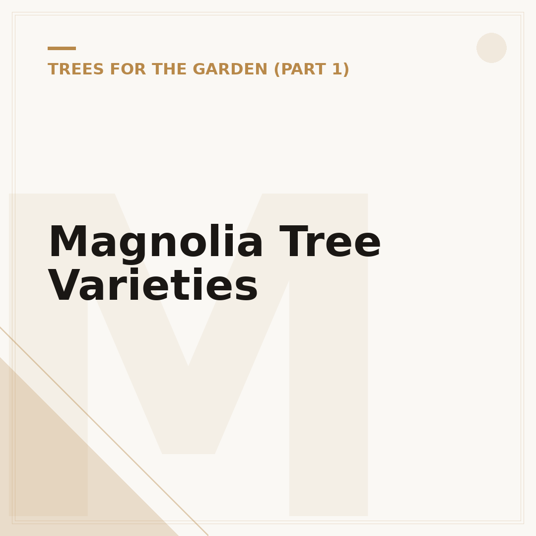 Magnolia Tree Varieties