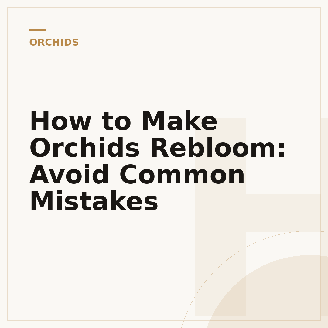 How to Make Orchids Rebloom: Avoid Common Mistakes