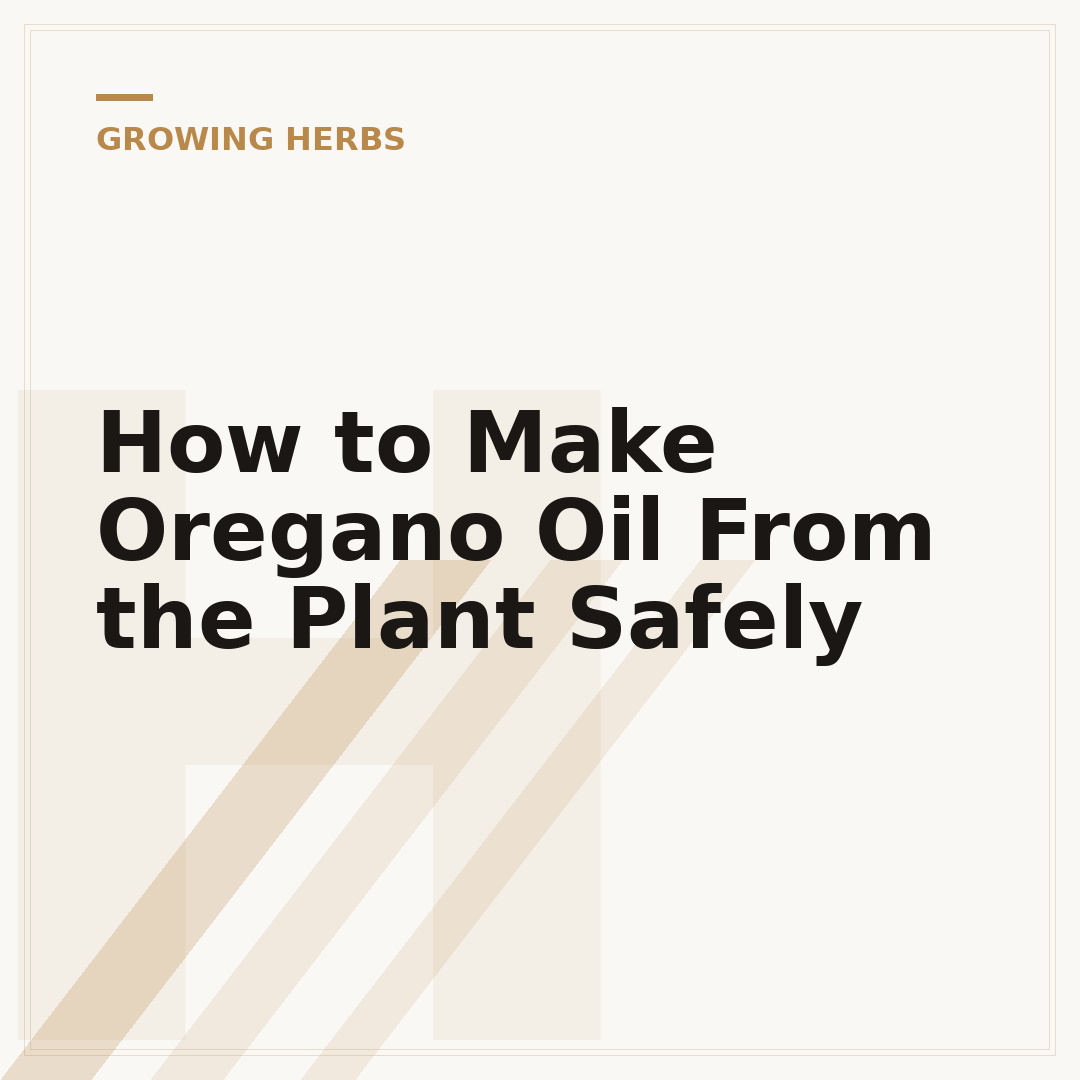 How to Make Oregano Oil From the Plant Safely