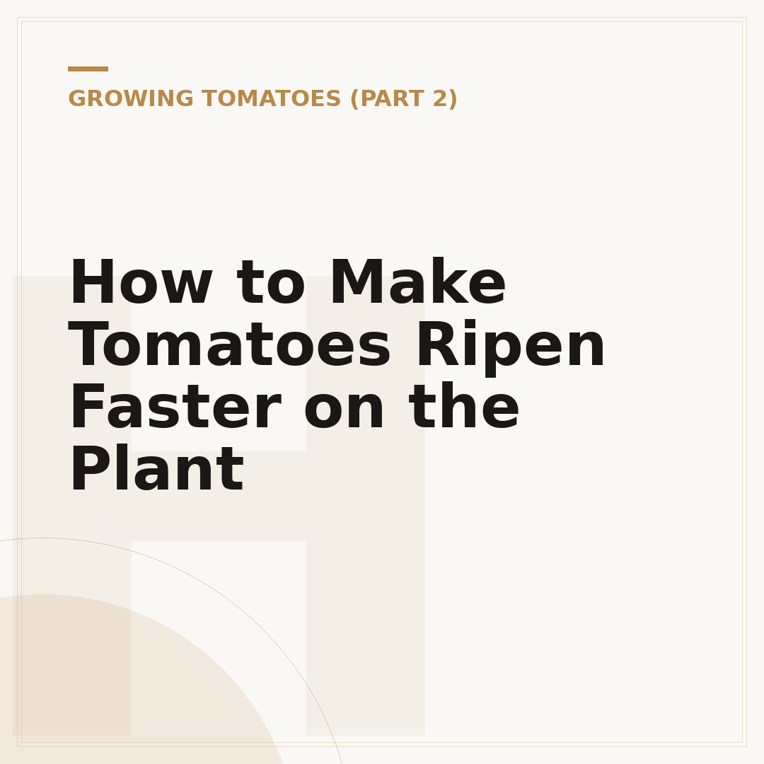 How to Make Tomatoes Ripen Faster on the Plant