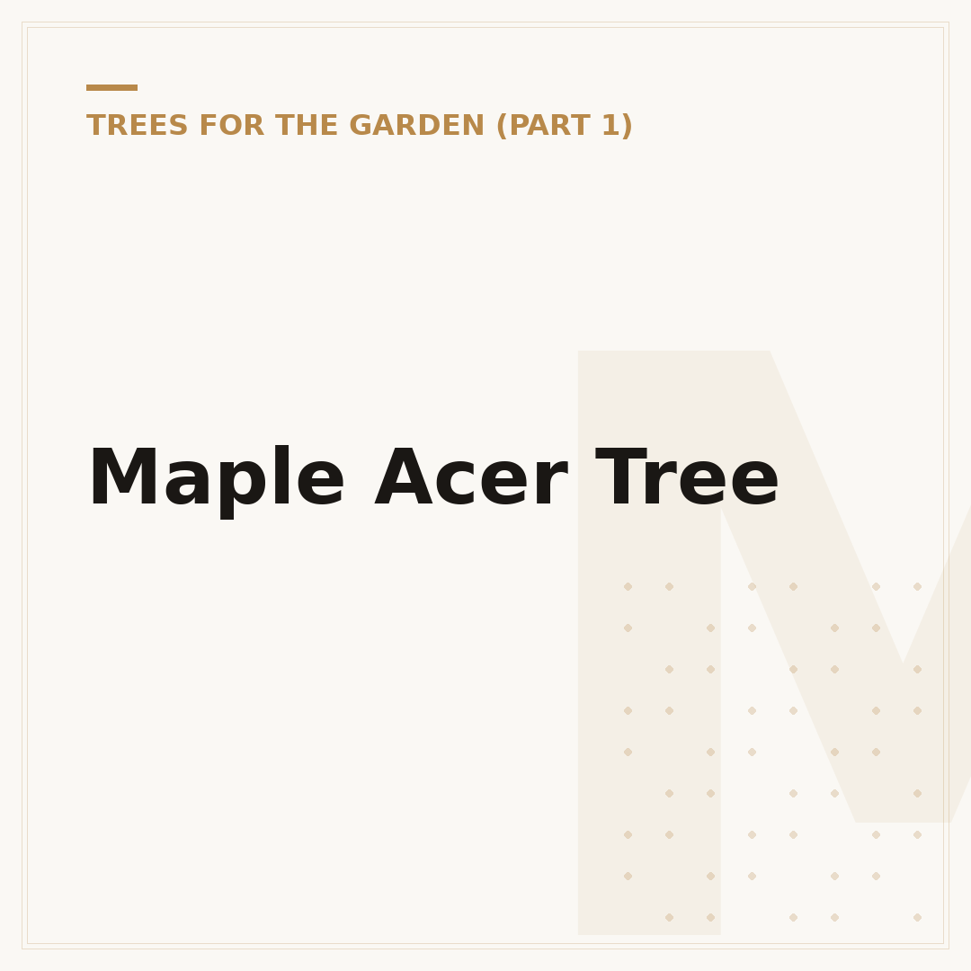 Maple Acer Tree