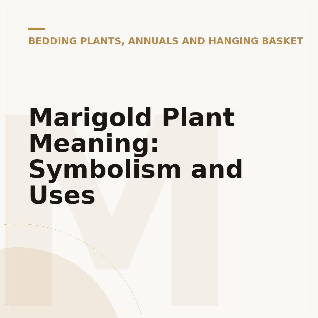 Marigold Plant Meaning: Symbolism and Uses