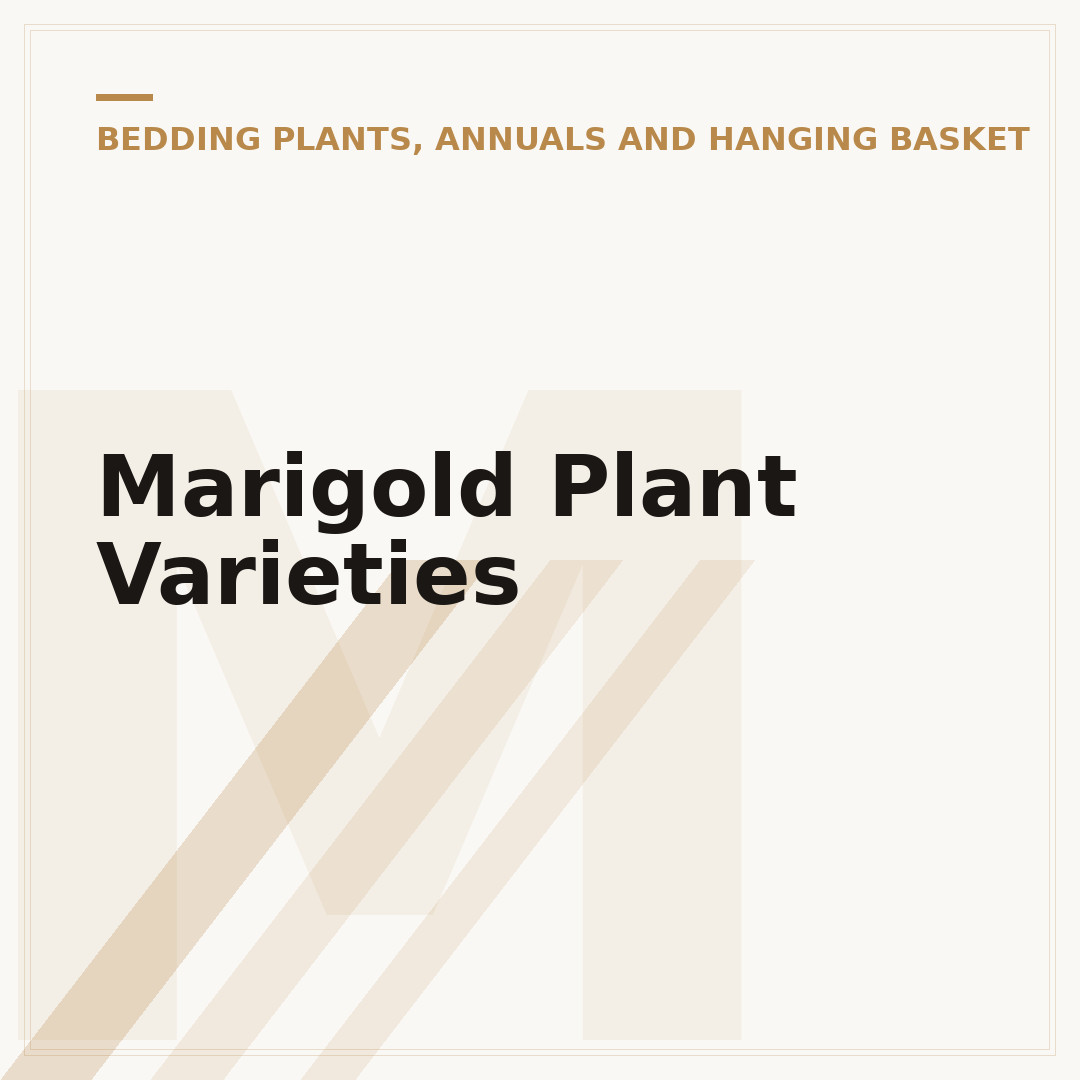 Marigold Plant Varieties