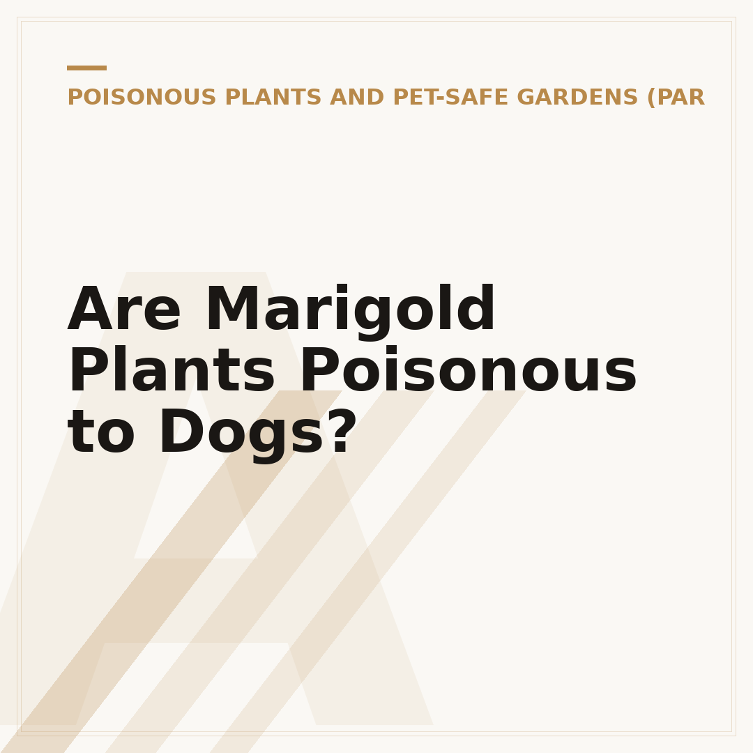 Are Marigold Plants Poisonous to Dogs?