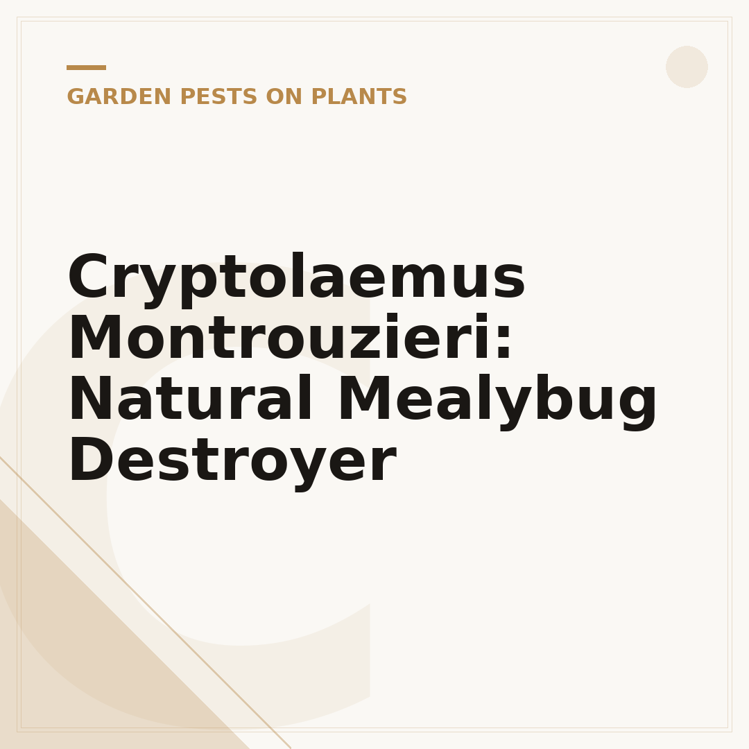 Cryptolaemus Montrouzieri: Natural Mealybug Destroyer