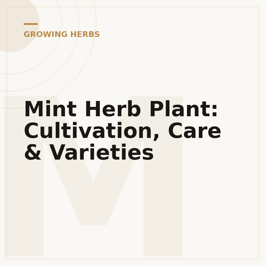 Mint Herb Plant: Cultivation, Care & Varieties