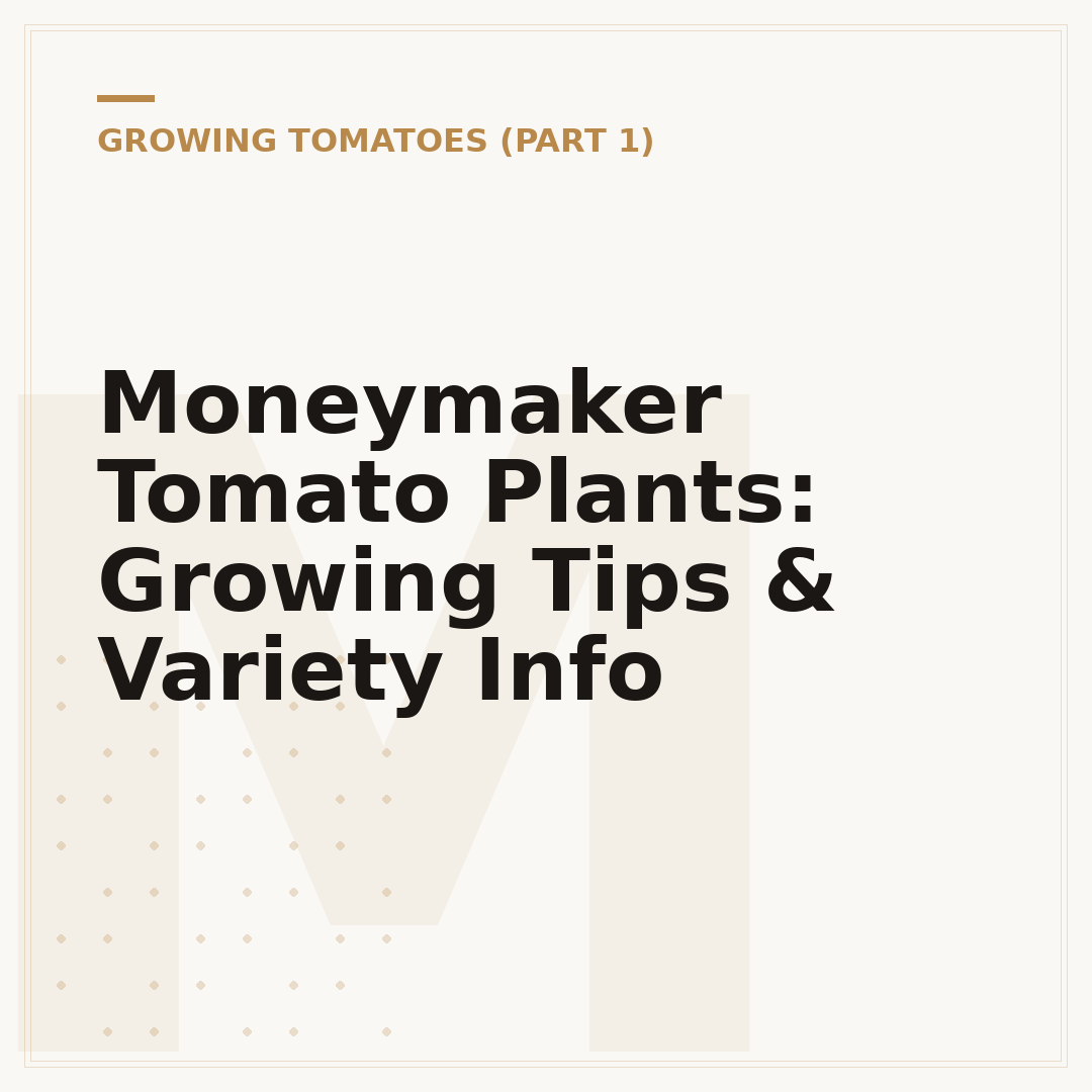 Moneymaker Tomato Plants: Growing Tips & Variety Info