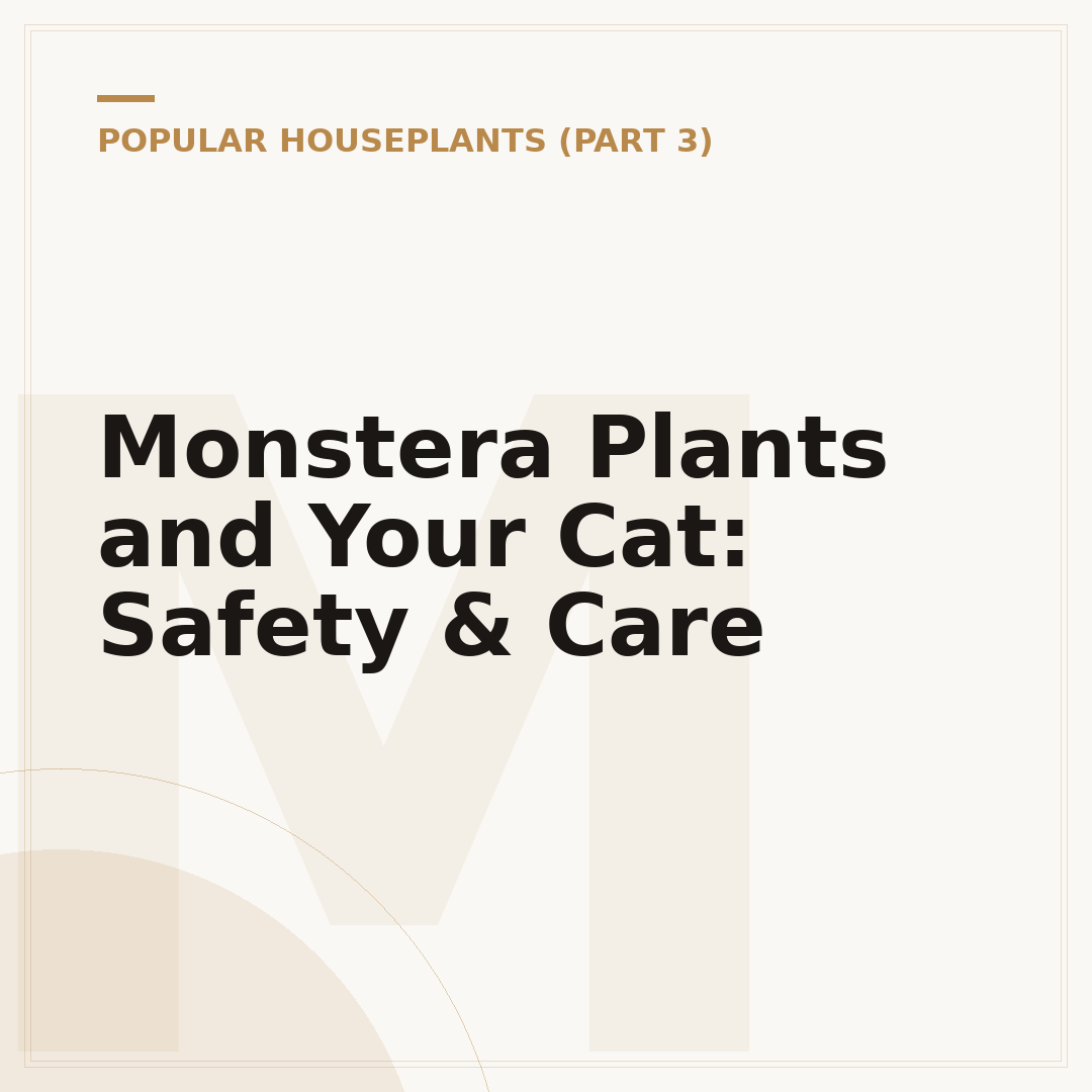 Monstera Plants and Your Cat: Safety & Care