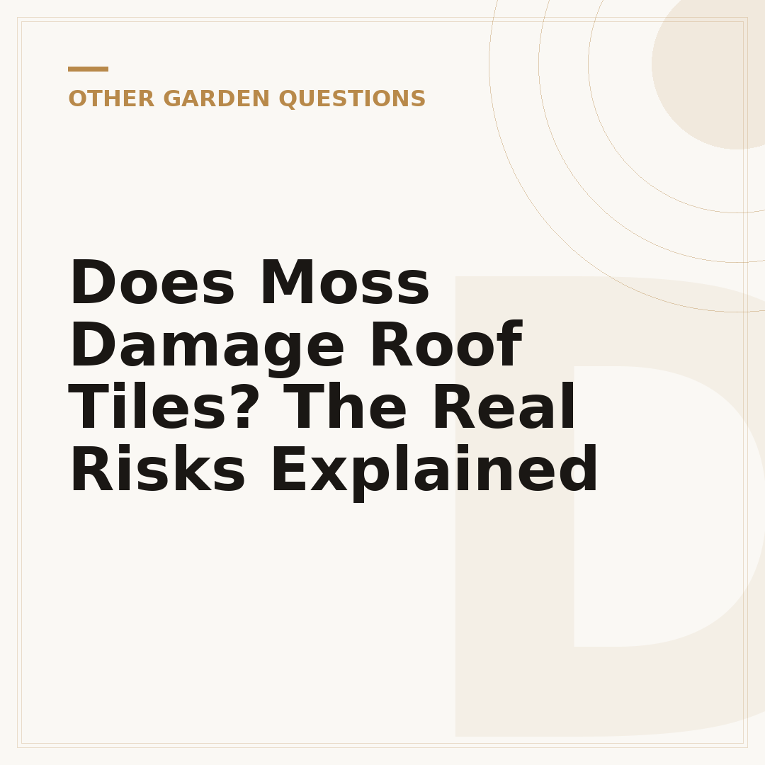 Does Moss Damage Roof Tiles? The Real Risks Explained