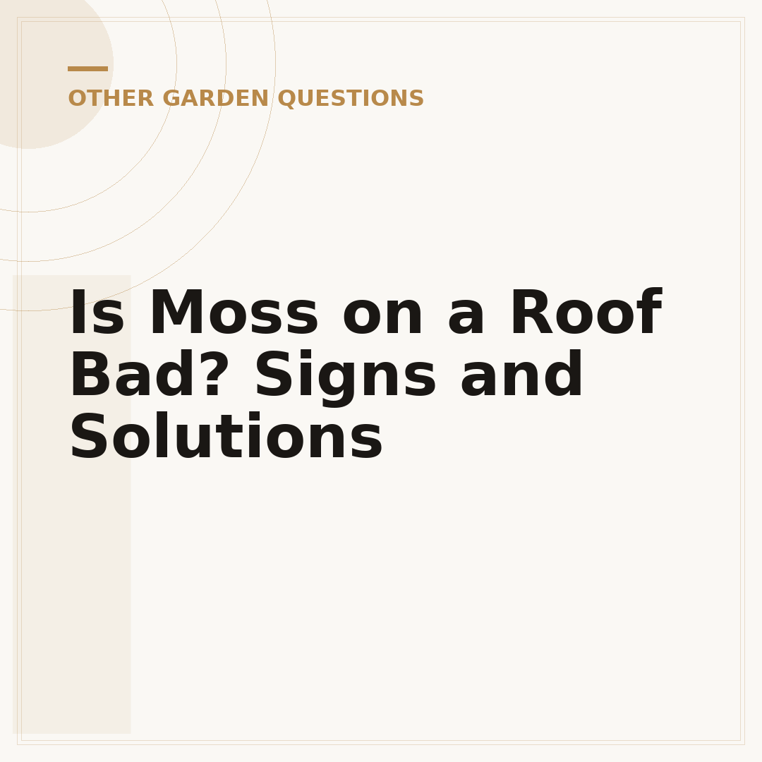 Is Moss on a Roof Bad? Signs and Solutions