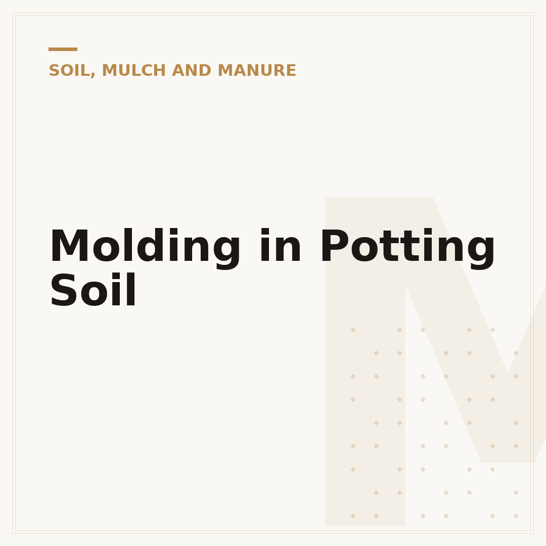 Molding in Potting Soil