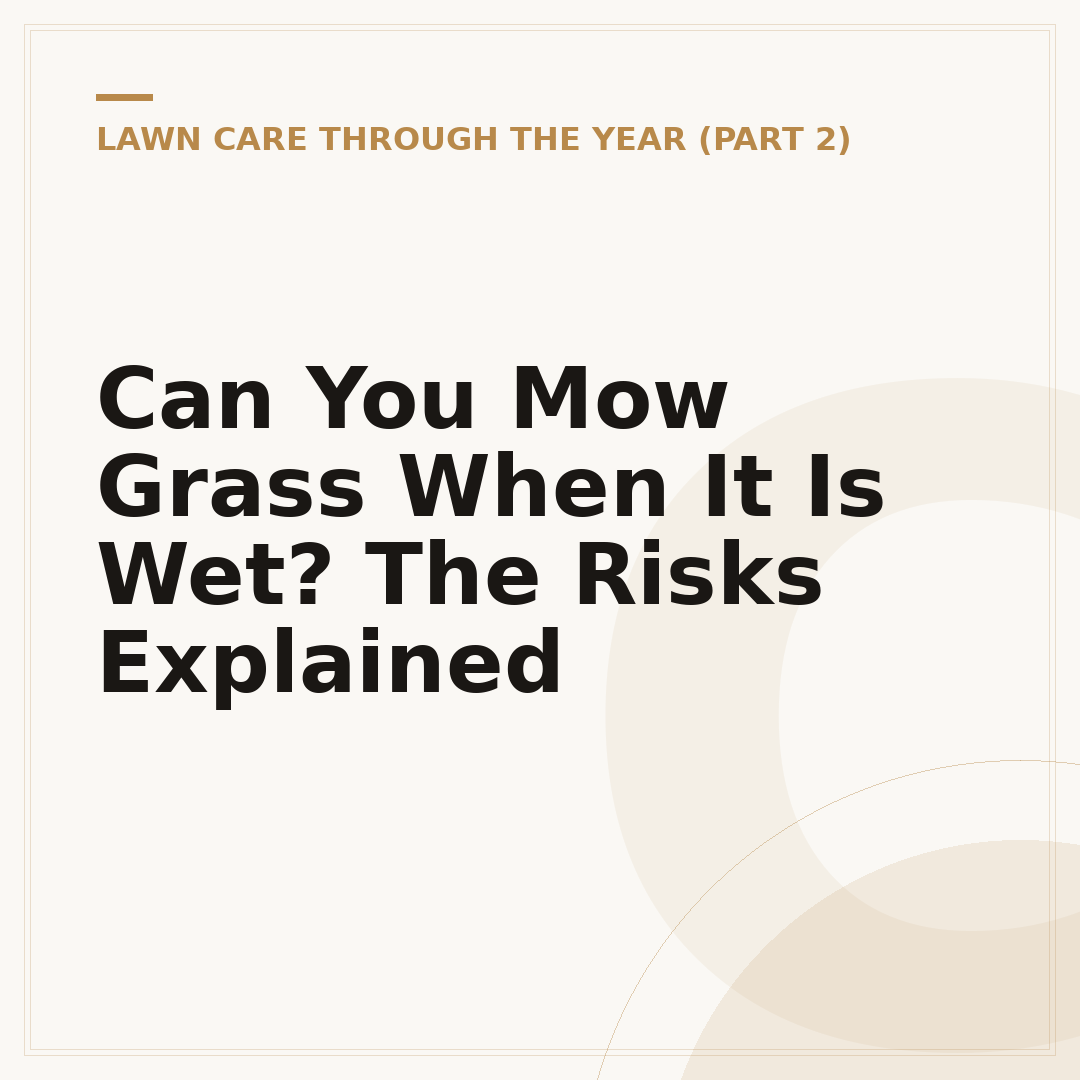 Can You Mow Grass When It Is Wet? The Risks Explained