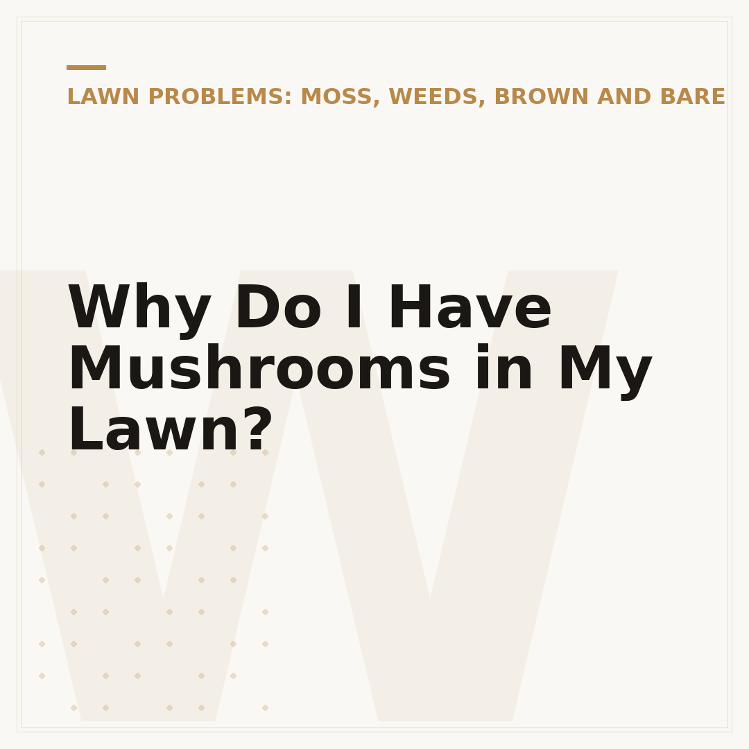 Why Do I Have Mushrooms in My Lawn?