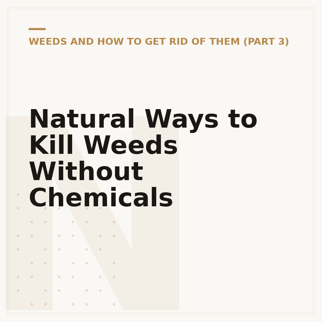 Natural Ways to Kill Weeds Without Chemicals