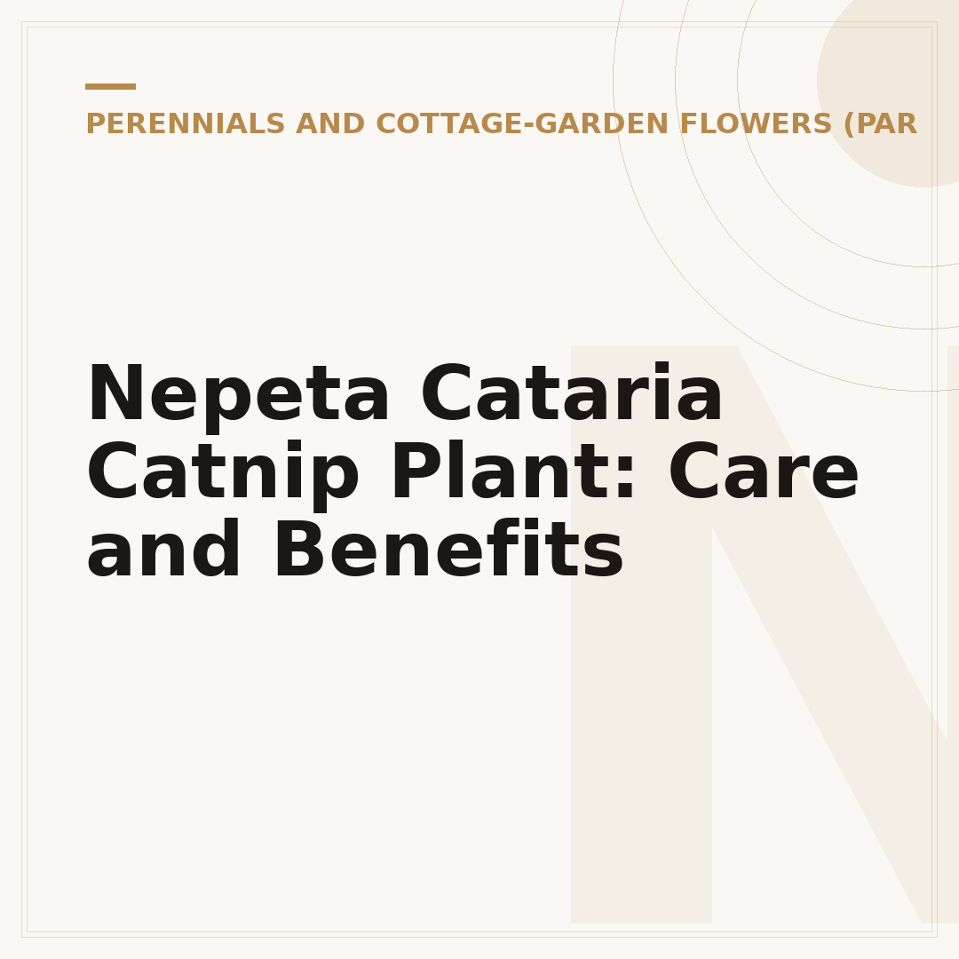 Nepeta Cataria Catnip Plant: Care and Benefits