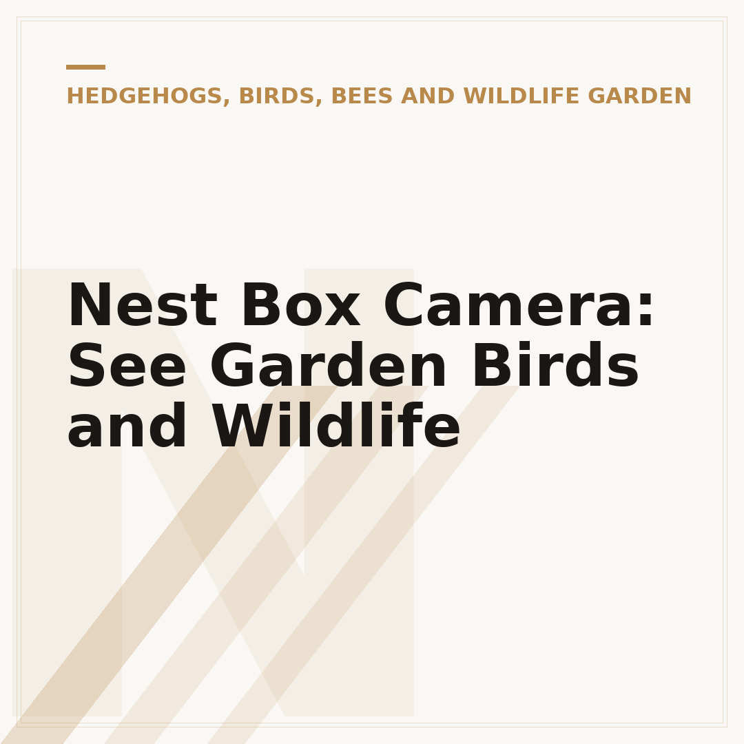 Nest Box Camera: See Garden Birds and Wildlife