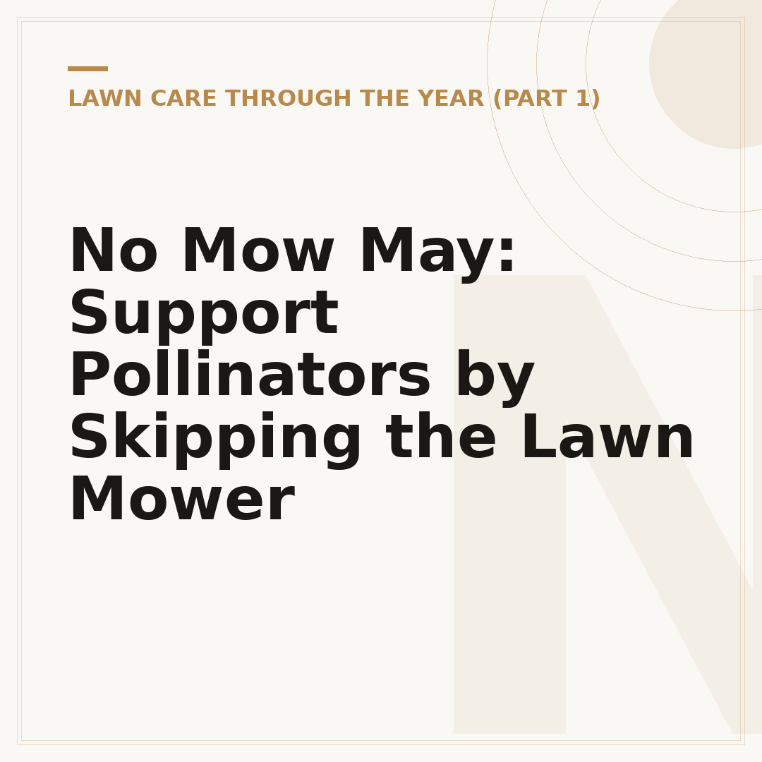 No Mow May: Support Pollinators by Skipping the Lawn Mower